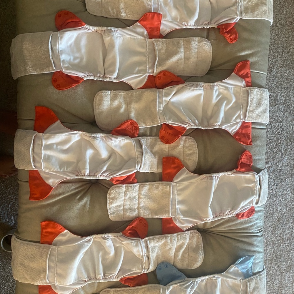 Bum genius all in one set of 10